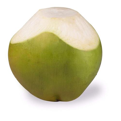 Tender Coconut - Medium